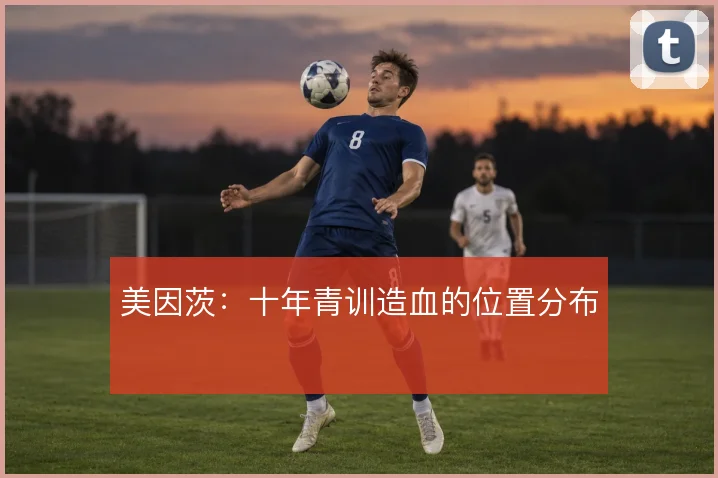 美因茨:十年青训造血的位置分布